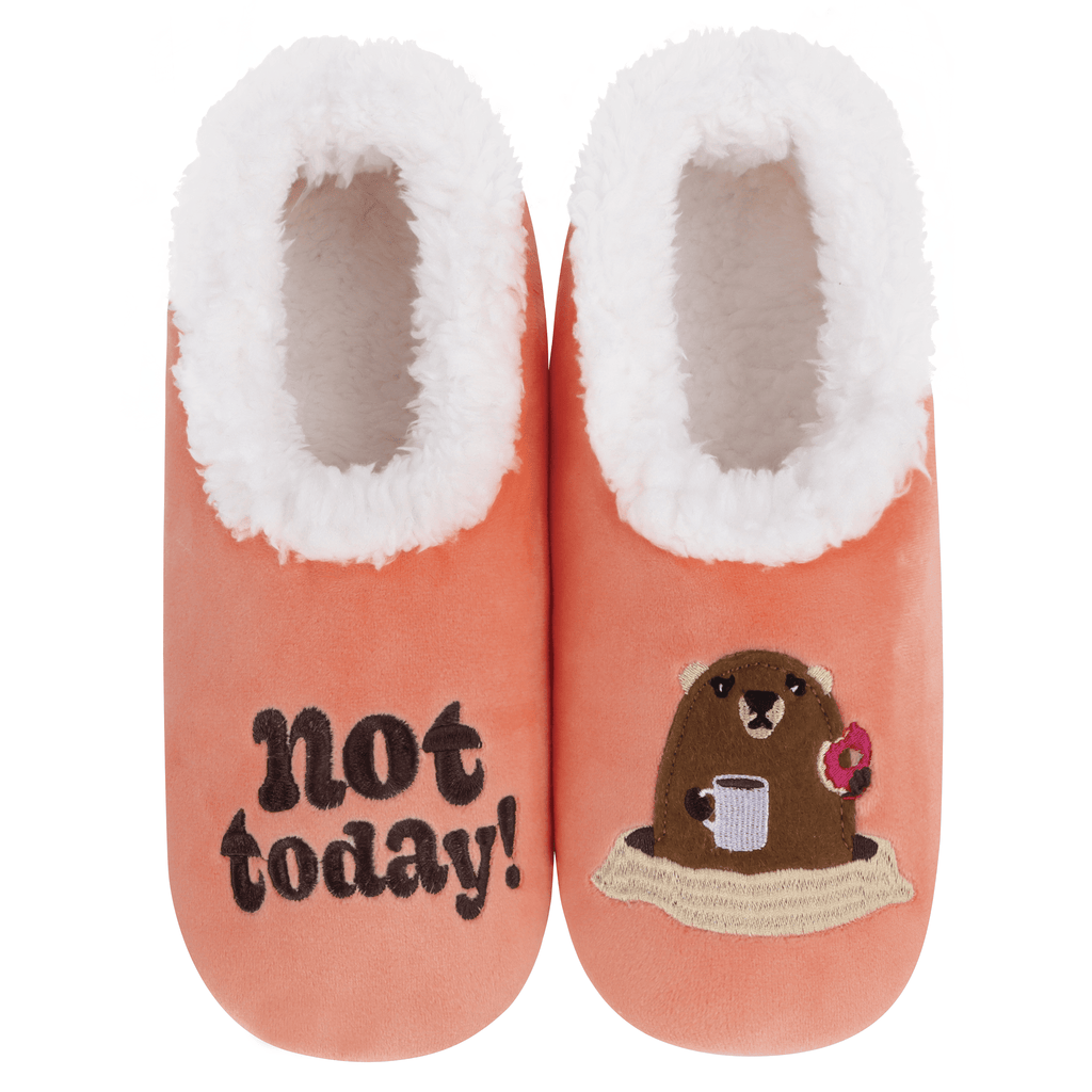 Pair of pink slippers with a cartoon groundhog and 'not today!' text on a white background